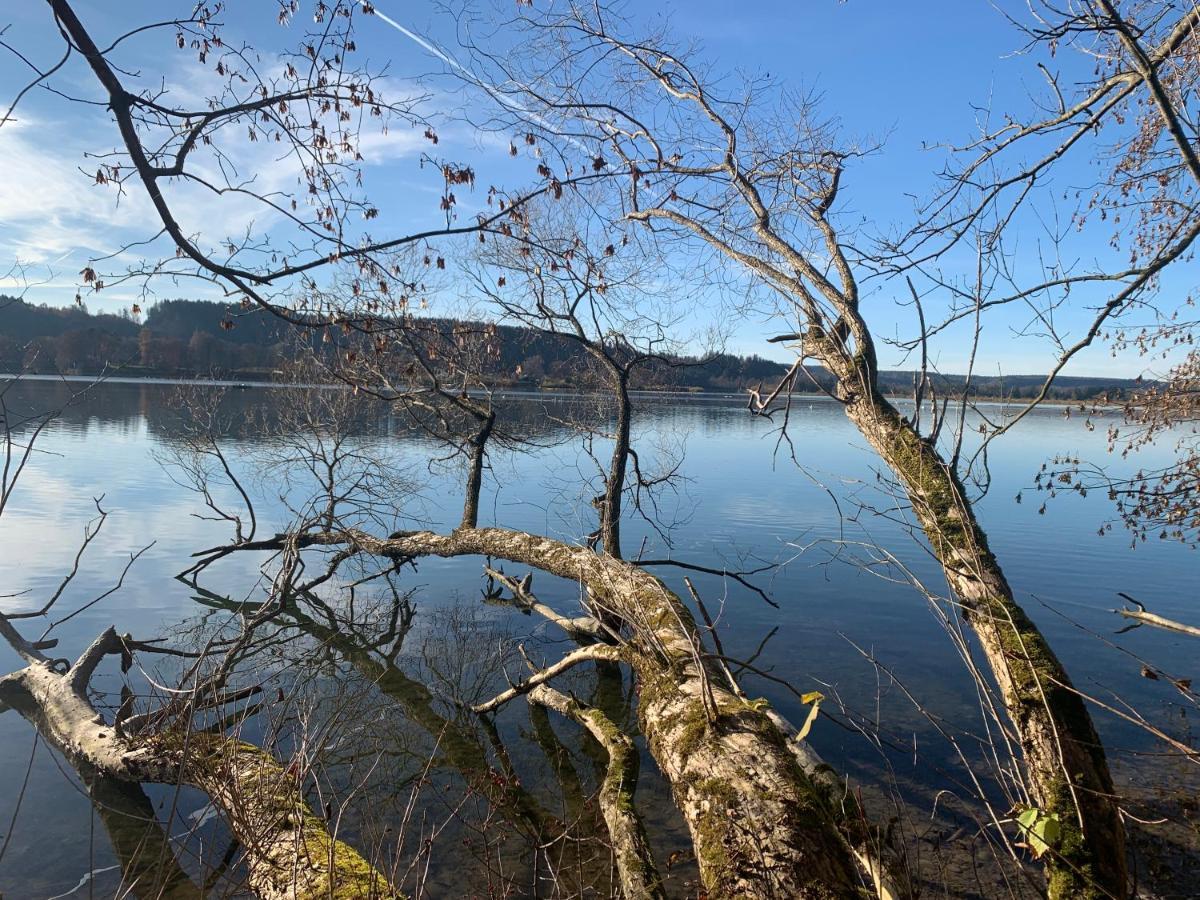 Stille X Weite - Hochwertige Wohnung Mit See-Panorama Kronburg エクステリア 写真
